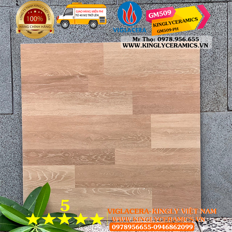 Gạch giả gỗ Viglacera 50x50 GM509
